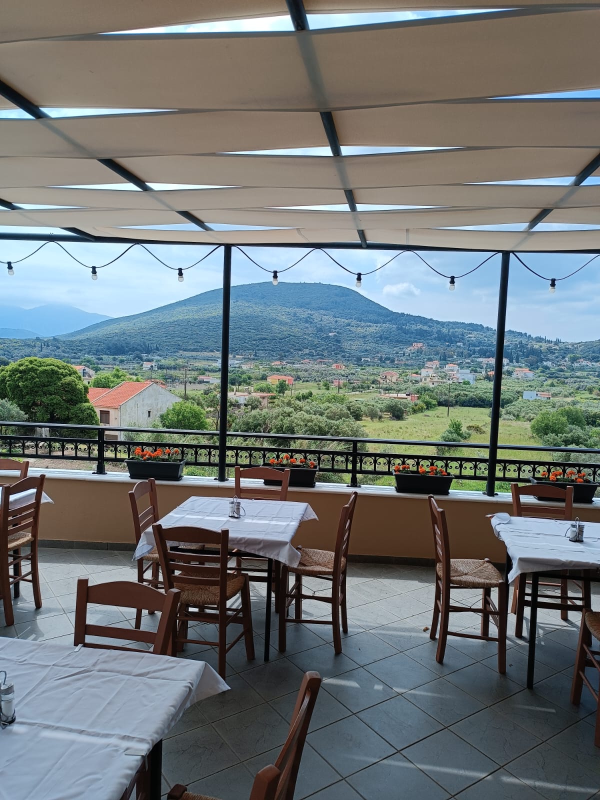view